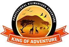 PROFESSIONAL-KILIMANJARO-ADVENTUREl-LOGO